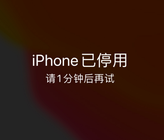 马龙苹果手机维修分享:iPhone 显示“不可用”或“已停用”怎么办？还能保留数据吗？ 