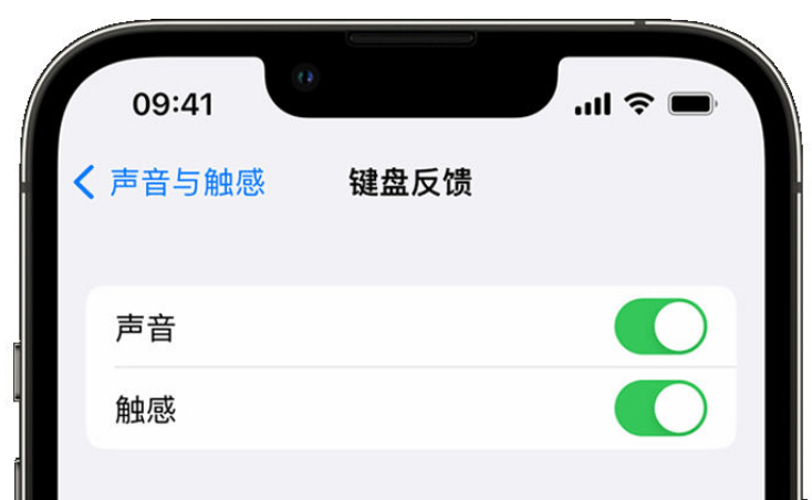 马龙苹果手机维修分享iPhone 14触感键盘使用方法 