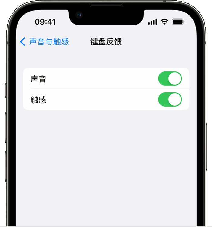 马龙苹果14维修店分享如何在 iPhone 14 机型中使用触感键盘 