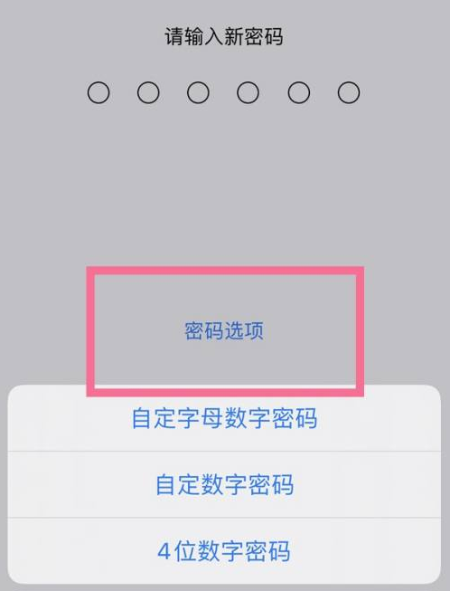 马龙苹果14维修分享iPhone 14plus设置密码的方法 