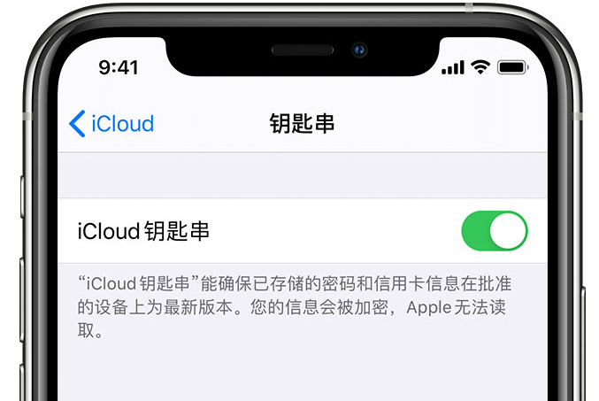 马龙苹果手机维修分享在 iPhone 上开启 iCloud 钥匙串之后会储存哪些信息 