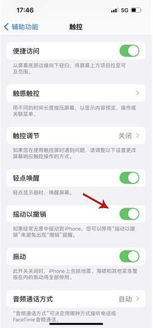 马龙苹果手机维修分享iPhone手机如何设置摇一摇删除文字 