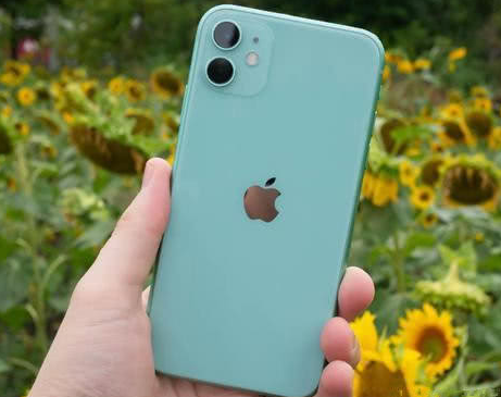 马龙苹果维修点分享iPhone 11锁屏密码认知与使用科普 